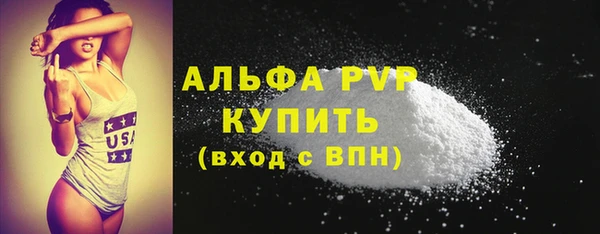 хмурый Сосновый Бор