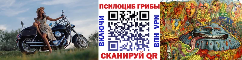 блэк спрут зеркало  Сосногорск  Псилоцибиновые грибы MAGIC MUSHROOMS  купить  